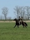 Moldova, Grab Horses used in Russian Ukrainian war